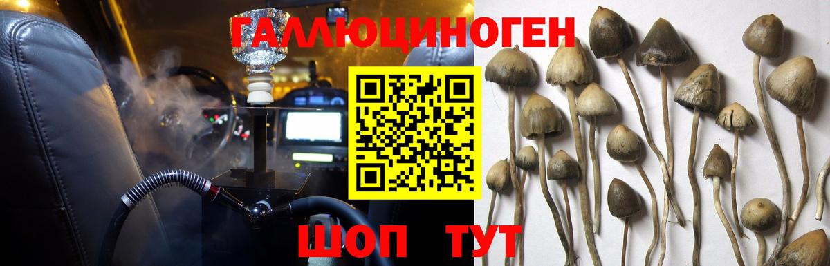 Галлюциногенные грибы MAGIC MUSHROOMS Обнинск